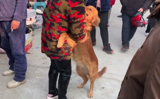 金毛被主人家送到狗市,可狗狗却舍不得主人家,每一次相拥都令人泪崩 金毛被主人家送到狗市,可狗狗却舍不得主人家,每一次相拥都令人泪崩