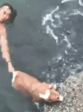 主人装作落水,柯基最终竟用这类方法救主人!为什么说我小短腿? 主人装作落水,柯基最终竟用这类方法救主人!为什么说我小短腿?