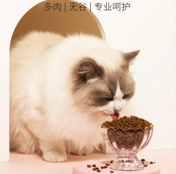 国产猫粮怎么选,怡亲猫粮强势崛起推出0谷安心粮布局天然粮赛道 国产猫粮怎么选,怡亲猫粮强势崛起推出0谷安心粮布局天然粮赛道