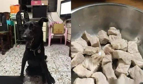 亲人把喵星人视作金孙，一碗汤就能看得出谁才算是亲生父母的！