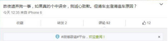 瘸腿小狗“被遗弃”引热议 当事人出面发言 瘸腿小狗“被遗弃”引热议 当事人出面发言