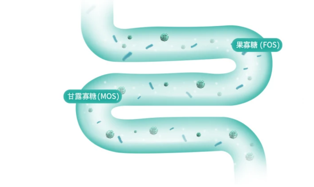凯锐思专宠专用,助力猫咪科学饮食 凯锐思专宠专用,助力猫咪科学饮食