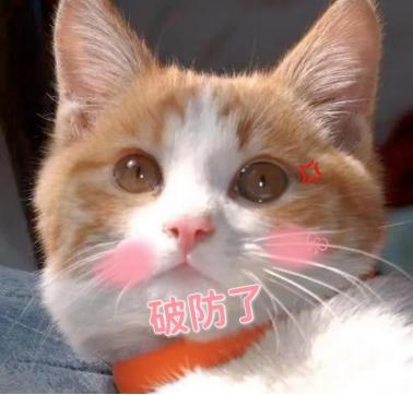 看比瑞吉捐赠“公益粮”有感：负责任有爱心的国产猫粮请多做宣传