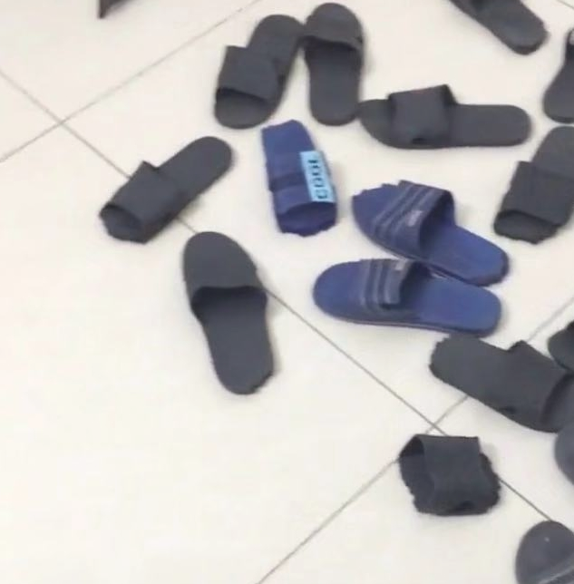 养了金毛以后，家中就没一双鞋是好的，宠主怒而罚狗！