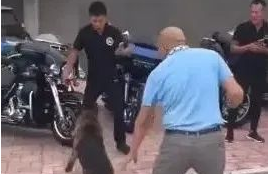 男子互骂主人，德牧一听，一瞬间冲上去！