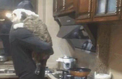 网友要出差,便把狗狗交给父亲,回家后,网友准备把狗狗丢掉 网友要出差,便把狗狗交给父亲,回家后,网友准备把狗狗丢掉