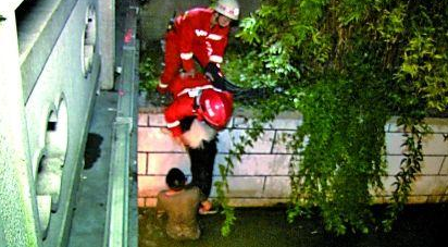 70斤边境牧羊犬落水主人下水托举两小时 消防:边牧会水 70斤边境牧羊犬落水主人下水托举两小时 消防:边牧会水
