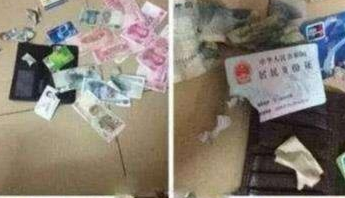 把二哈交到退役的爷爷照料，一个月后，爷爷跟我说狗肉怎么做？