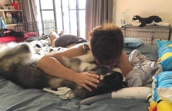 小姐姐夜里想跟男朋友渡过二人世界，哈士奇：想都不必想！