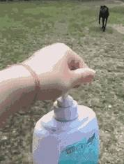 看妈妈取出了沐浴露,狗子微笑秒收:要背井离乡遁入空门一下! 看妈妈取出了沐浴露,狗子微笑秒收:要背井离乡遁入空门一下!