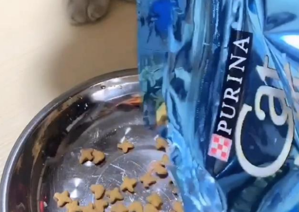 妙多乐猫粮怎么样,看完这篇你就知道 妙多乐猫粮怎么样,看完这篇你就知道