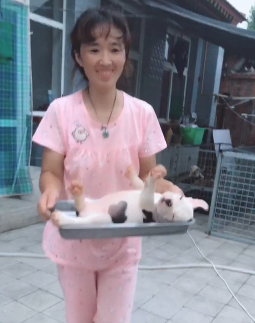女人把狗狗放到菜盘，狗狗居然视而不见，清醒后被吓一脸懵逼