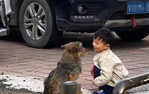 小男孩蹲在路边和流浪狗聊天，画面太治愈了，不禁露出姨母笑