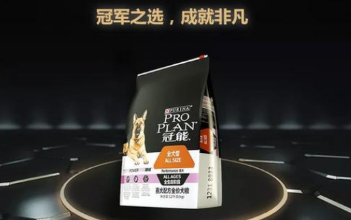 冠能冠军之选,成就非凡——第143届西敏寺犬展,King加冕纽约麦迪逊 冠能冠军之选,成就非凡——第143届西敏寺犬展,King加冕纽约麦迪逊