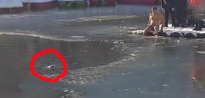 狗狗出现意外掉入冰凉湖泊,过路人竟无一人救援,最终往下跳救狗的是他 狗狗出现意外掉入冰凉湖泊,过路人竟无一人救援,最终往下跳救狗的是他