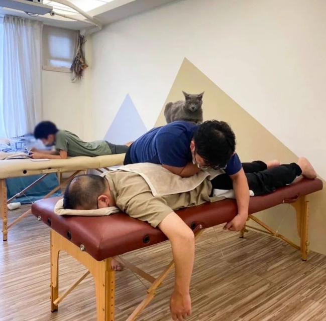 网友去推拿店按摩,没想到给他服务的是一位猫师傅~ 网友去推拿店按摩,没想到给他服务的是一位猫师傅~