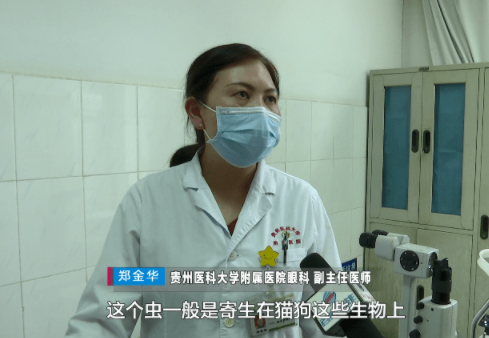 毛骨悚然!男孩眼里有3只寄生虫,医生:和他的这个习惯有关 毛骨悚然!男孩眼里有3只寄生虫,医生:和他的这个习惯有关