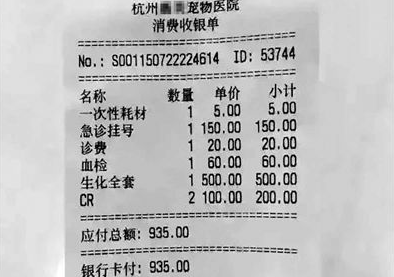 猫做绝育手术2000元 宠物看病贵主人无所谓