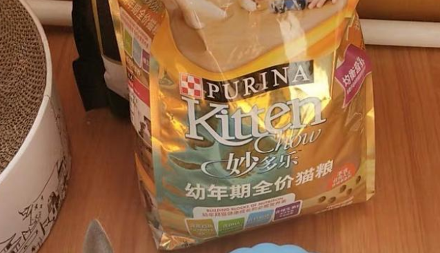 妙多乐：奶猫健康喂养的这几件事情需要了解