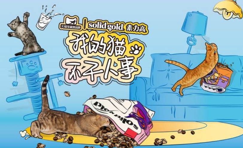 上新免护原配方双拼猫粮，素力高布局四大主流平台开展