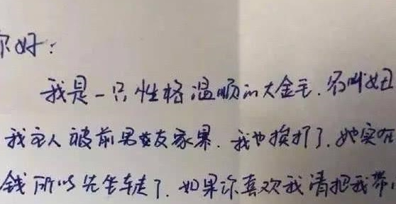 道路上碰到一只很脏的金毛，见到口中叼着的字条后，过路人被看哭！