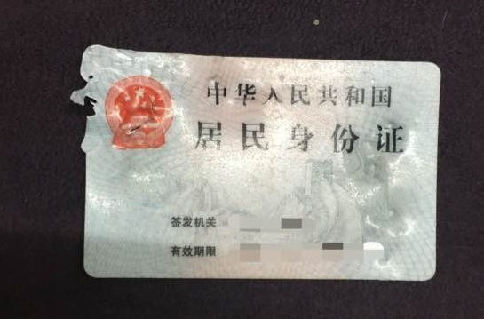 聪明金毛狗狗却也忽然咬坏主人家身份证件,耽搁主人家行程安排却救了他一命! 聪明金毛狗狗却也忽然咬坏主人家身份证件,耽搁主人家行程安排却救了他一命!