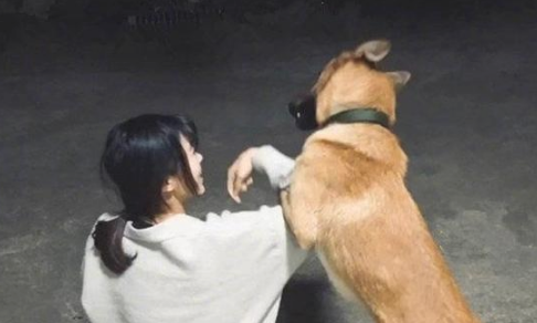 铲屎官独自一人看手机，狗狗发脾气后施展全力，主人家竟被干掉在了地面上