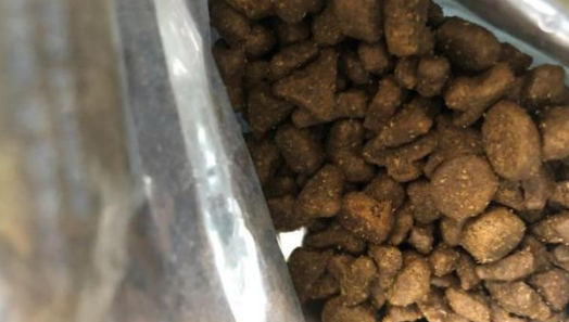 适合全年龄段猫咪食用的纽顿猫粮，赶紧来看一看