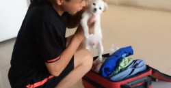 主人收行李箱提前准备外出,狗狗瞧见作出这行为,主人看后五味杂陈 主人收行李箱提前准备外出,狗狗瞧见作出这行为,主人看后五味杂陈