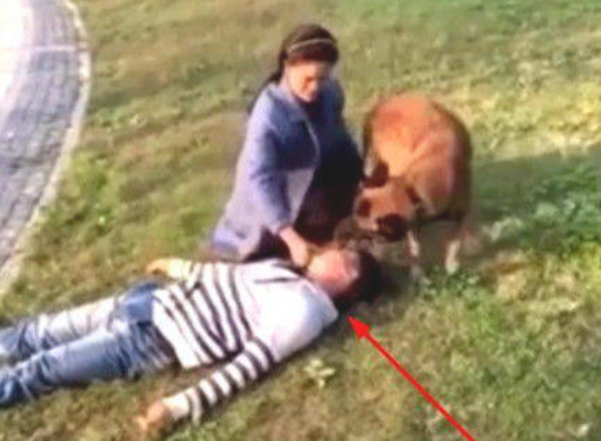 男子马路边一动不动,下一幕狗狗的个人行为,将他从阎王殿拉了回家 男子马路边一动不动,下一幕狗狗的个人行为,将他从阎王殿拉了回家