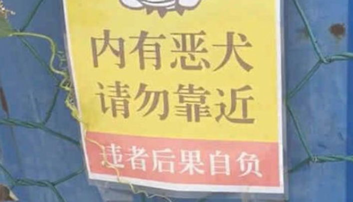 二叔大门口贴了内有恶犬,我与它对望一秒,二哈:客官进来玩啊!