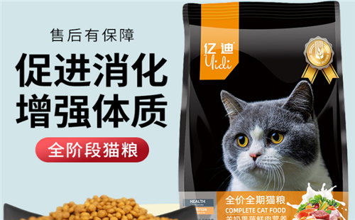 亿迪