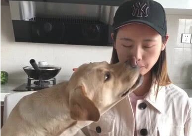 女主角吃零食不给狗狗吃，狗狗心存一计，接着作出的事儿让主人恶心想吐！