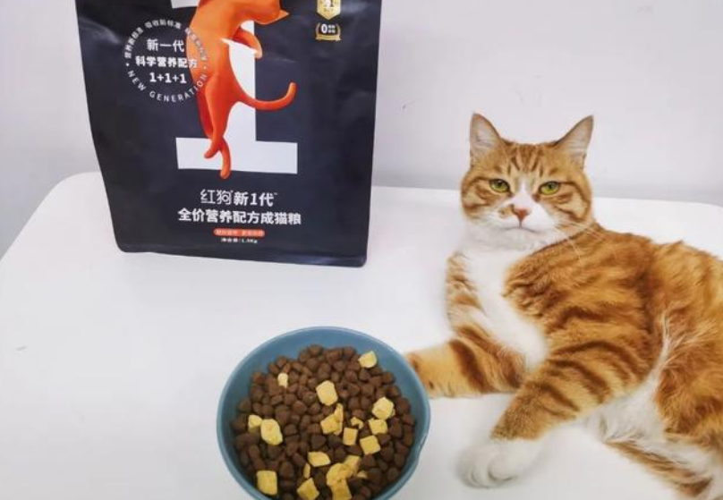 红狗猫粮｜高效解锁猫咪肠道健康密码