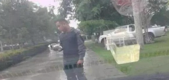 漂泊母犬拦下车辆不许向前，驾驶员大叔下车时一看，一瞬间打动泪崩！