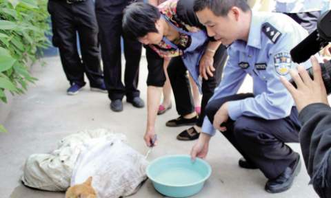 男子深夜偷猫遇警察逃跑被抓 猫可能被卖到饭店