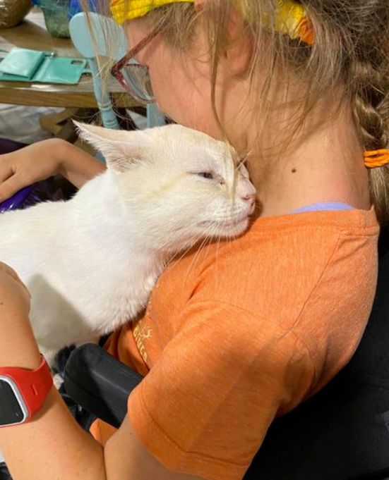 女孩坐电动轮椅去领养猫,却吓跑好多猫,唯独这只... 女孩坐电动轮椅去领养猫,却吓跑好多猫,唯独这只...