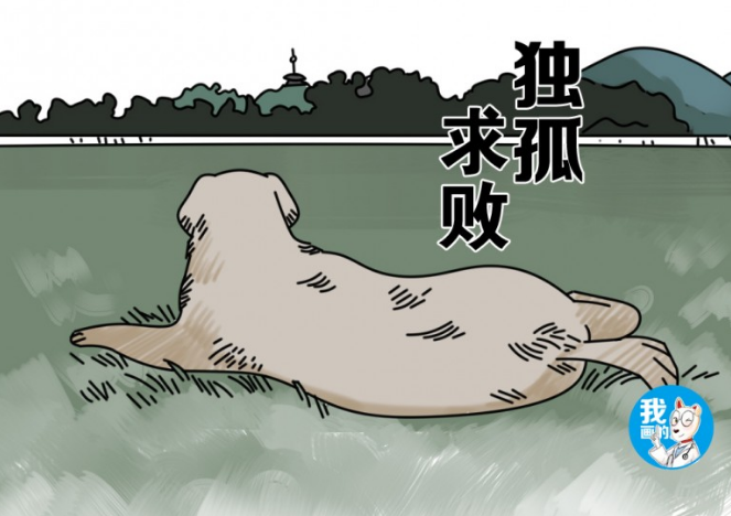 巡查犬发觉一个小孩子在抽泣，公安民警掌握后禁不住赞美：也太厉害了吧