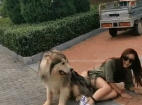 女人带狗子出来转悠,太累了想坐着狗的身上歇息,結果下一秒尴尬了 女人带狗子出来转悠,太累了想坐着狗的身上歇息,結果下一秒尴尬了