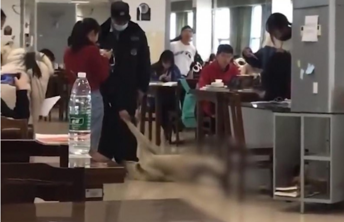 长沙一狗子跑进图书馆“学习培训”不肯走,目击证人:火腿肠诱惑都不愿走 长沙一狗子跑进图书馆“学习培训”不肯走,目击证人:火腿肠诱惑都不愿走