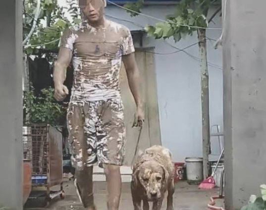 主人把狗狗赶出家门口,回家时的模样令人笑喷 主人把狗狗赶出家门口,回家时的模样令人笑喷