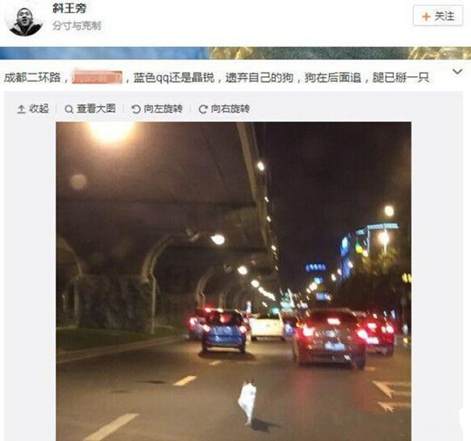 瘸腿小狗“被遗弃”引热议 当事人出面发言