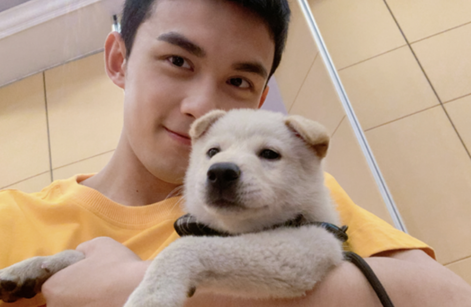 吴磊代言RedDog，新1代红狗猫粮、红狗狗粮更适合城市犬猫