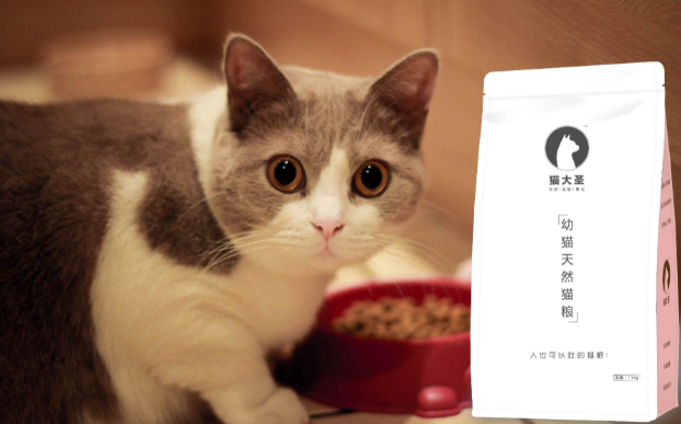 猫大圣天然猫粮真的可以美毛吗？ 