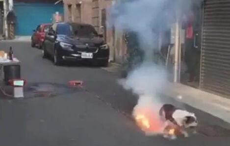 狗狗踩已经点燃的爆竹,狗狗:谁跟我抢跟谁急! 狗狗踩已经点燃的爆竹,狗狗:谁跟我抢跟谁急!