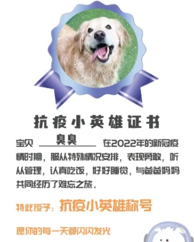 太暖了!隔离结束,240只宠物收获“抗疫小英雄”证书回家了 太暖了!隔离结束,240只宠物收获“抗疫小英雄”证书回家了