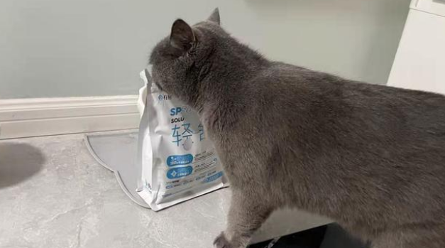 进口猫粮和有鱼猫粮，哪个更适合国内宠物猫