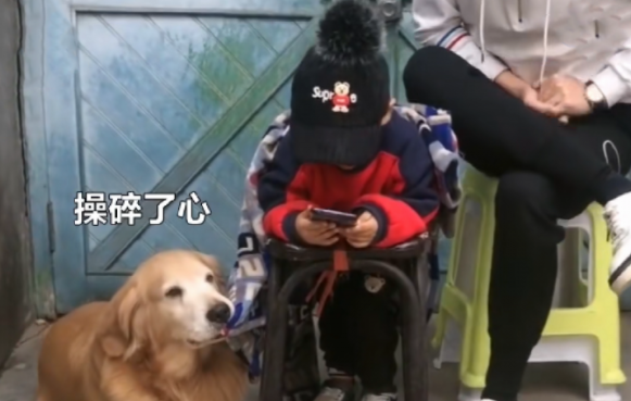 金毛对小主人太好,当男主人打他的情况下它为了更好地维护保养小主人干了这件事情,好感动 金毛对小主人太好,当男主人打他的情况下它为了更好地维护保养小主人干了这件事情,好感动