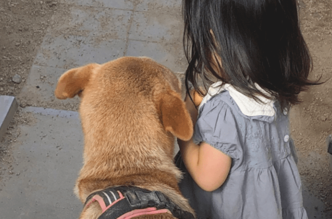 狗狗激情跑去和小姑娘亲密接触，可下一秒...卑劣汪！