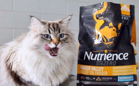 哈根纽翠斯真的太会了!养猫人的天选猫粮 哈根纽翠斯真的太会了!养猫人的天选猫粮